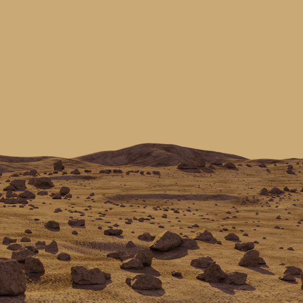 Mars Surface with rocks 3D Model